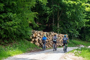 Un brindisi in bici: 'Prosecco land' a due ruote con Italy Cycling Tour